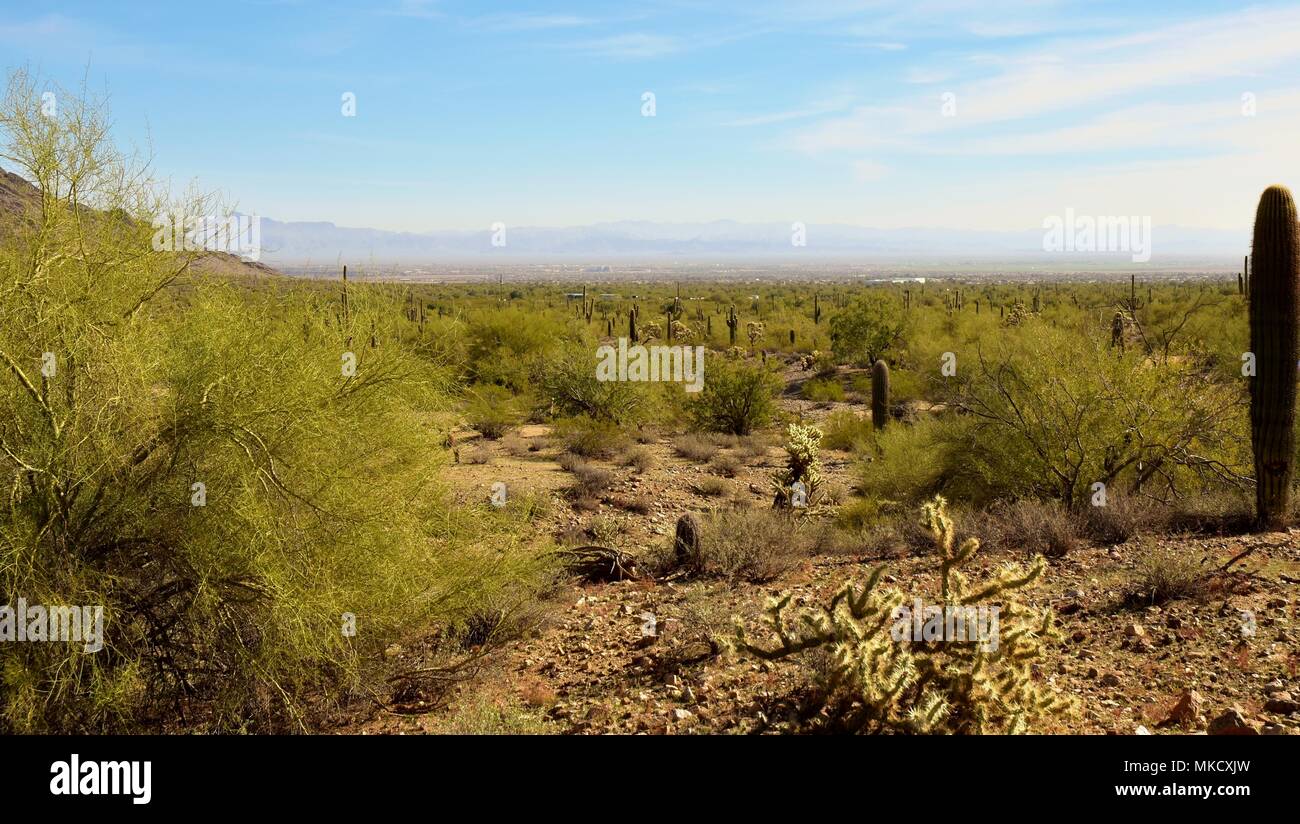 Parc régional de la montagne de San Tan est de plus de 10 000 acres dans la partie inférieure du désert. De beaux sentiers pour la randonnée pédestre, le vélo et l'équitation. Banque D'Images
