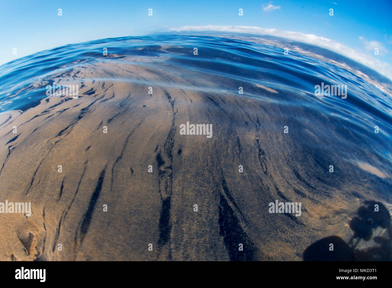 Trichodesmium, également appelé sea sciure (Trichodesmium erythraeumla). Il apparaît massivement dans la surface, le temps de la chaleur. C'est un processus naturel. Tenerife, Canaries. Banque D'Images