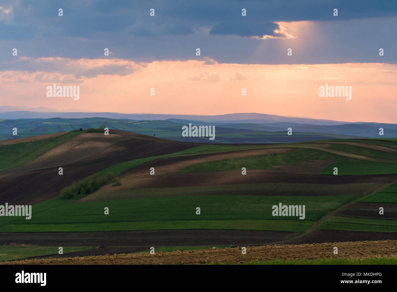 Plaines de Transylvanie au coucher du soleil. Banque D'Images