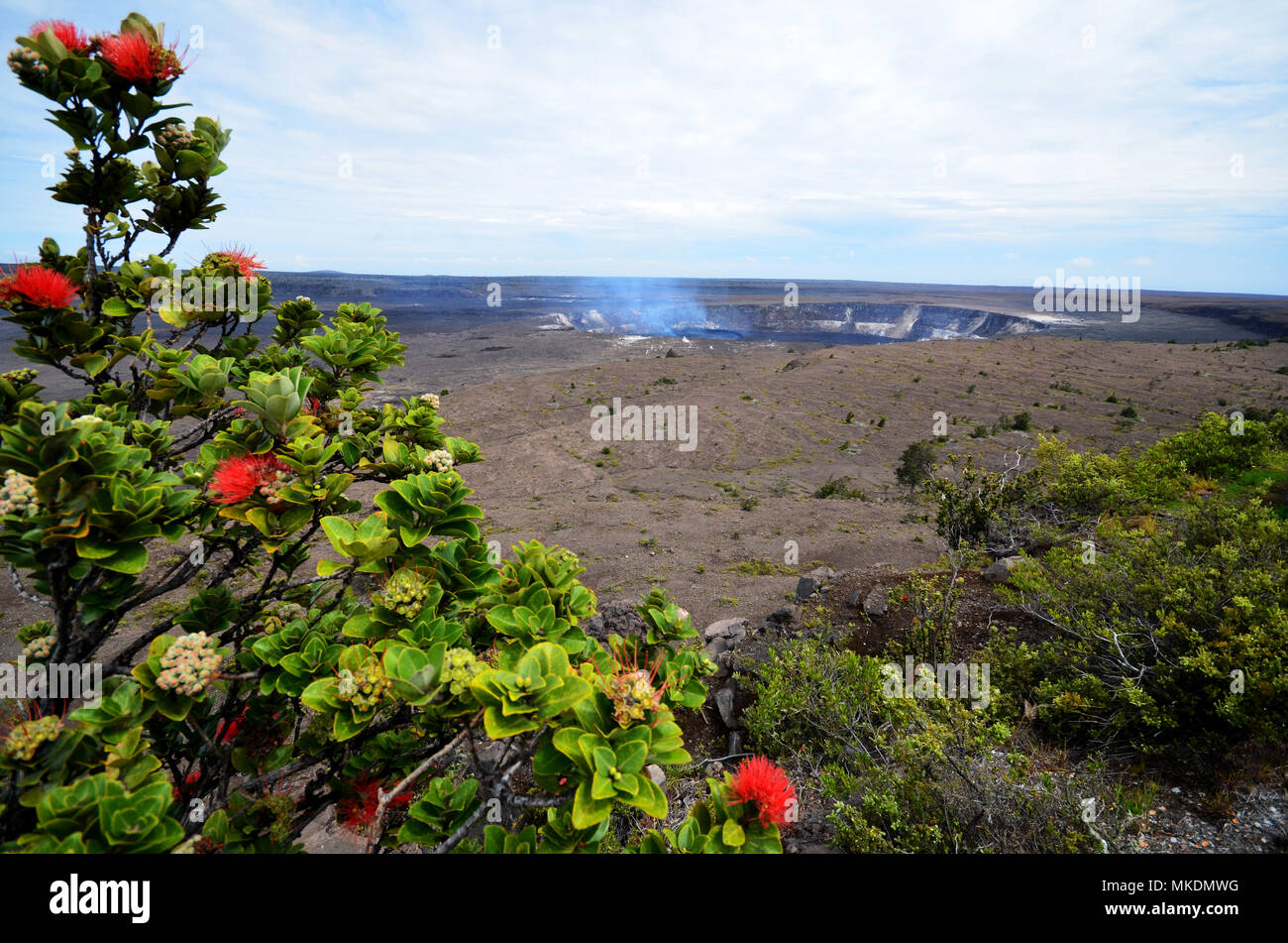 Cratère du volcan Kilauea à Hawaii Big Island Volcanoes National park. Banque D'Images