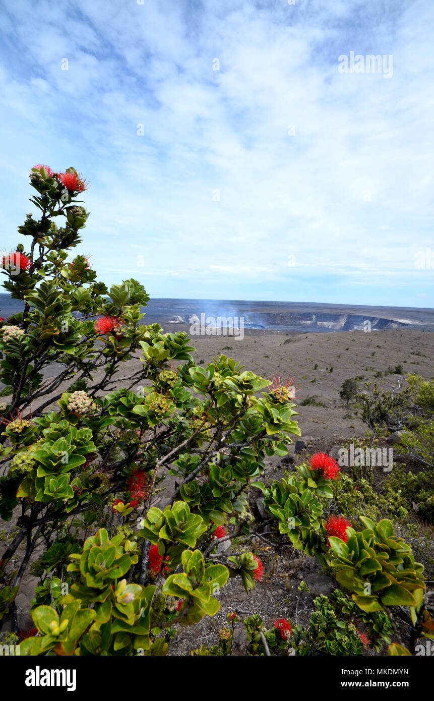 Cratère du volcan Kilauea à Hawaii Big Island Volcanoes National park. Banque D'Images