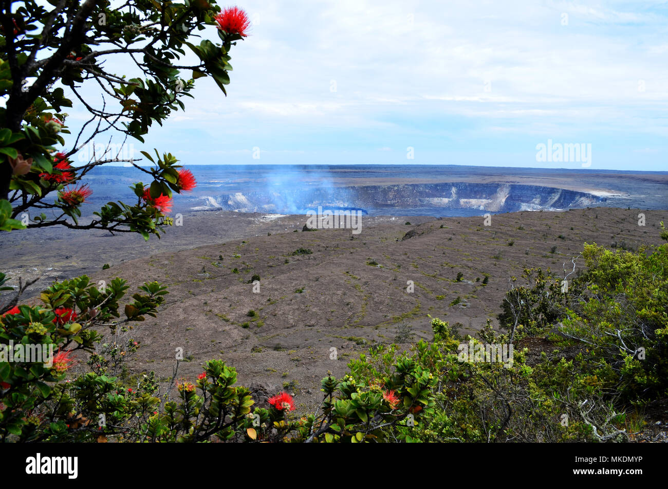 Cratère du volcan Kilauea à Hawaii Big Island Volcanoes National park. Banque D'Images