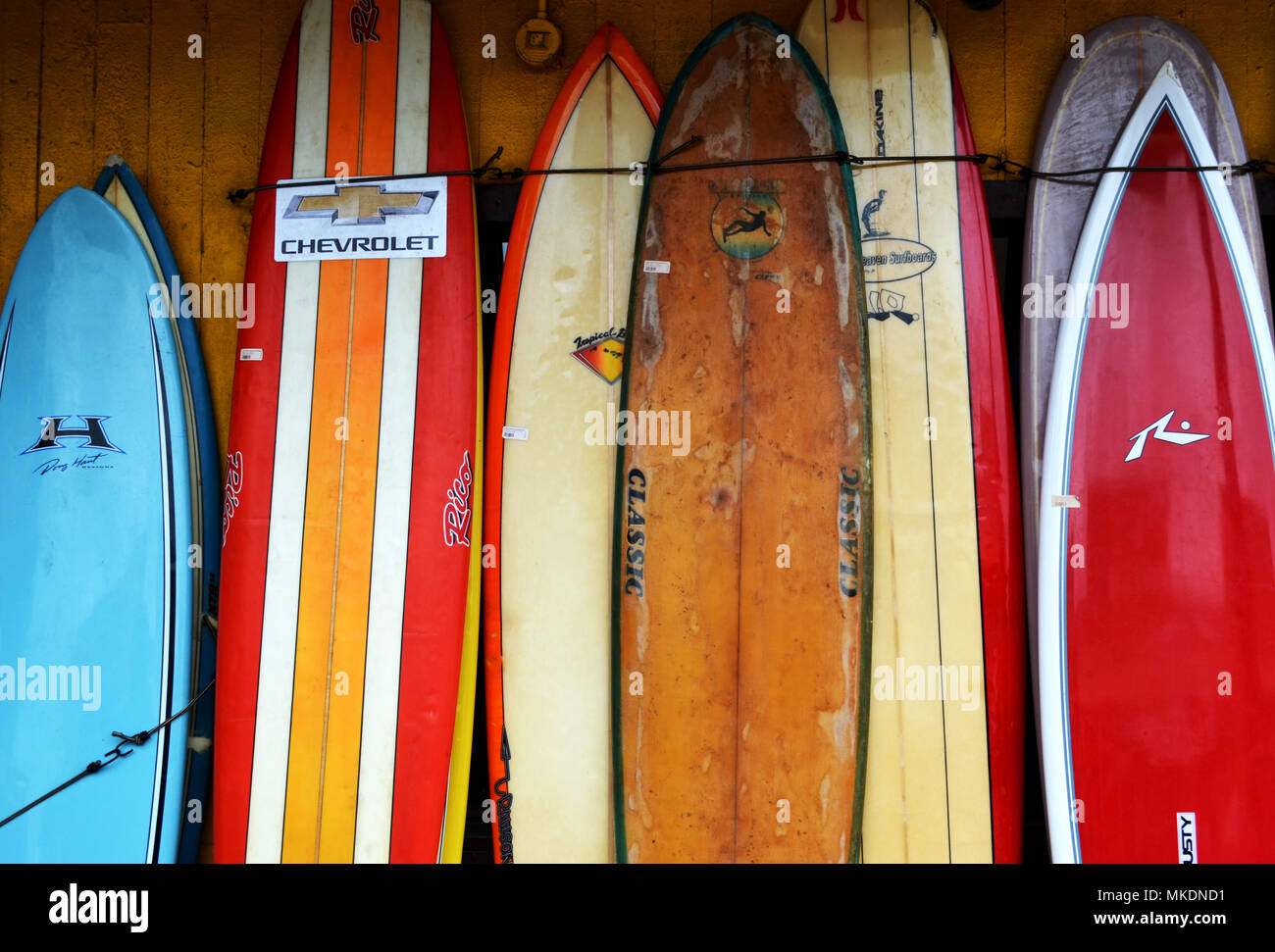 Vieux surfboards leaning against wall. Banque D'Images