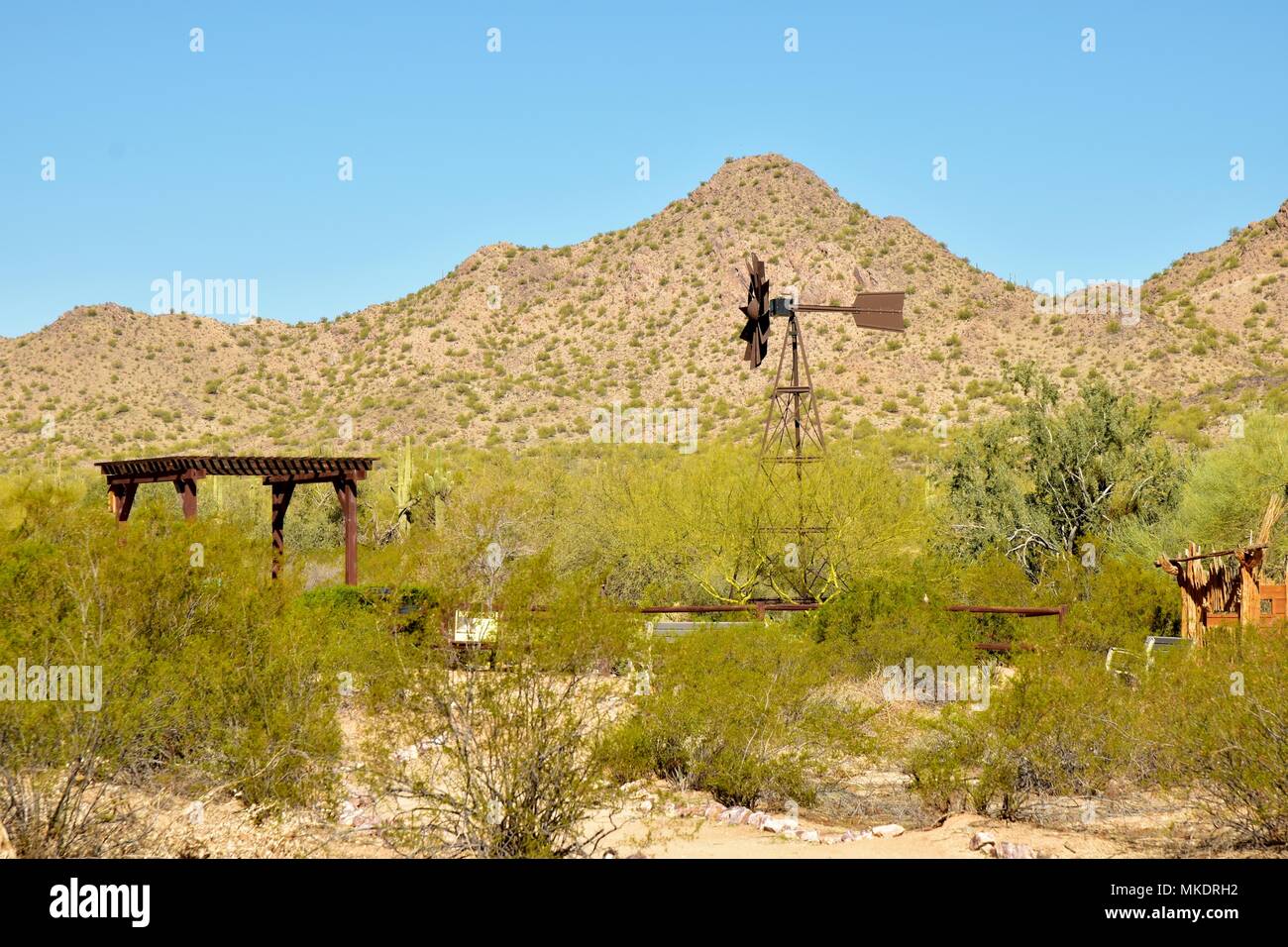 Parc régional de la montagne de San Tan est de plus de 10 000 acres dans la partie inférieure du désert. De beaux sentiers pour la randonnée pédestre, le vélo et l'équitation. Banque D'Images