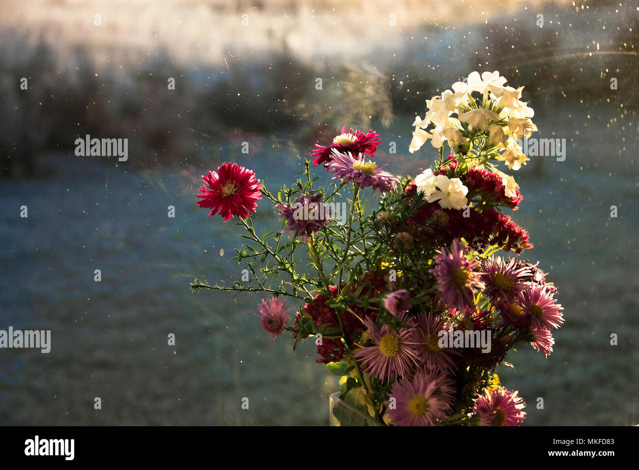 Assortiment de fleurs dans un bouquet sur une fenêtre donnant sur une vue hiver Banque D'Images
