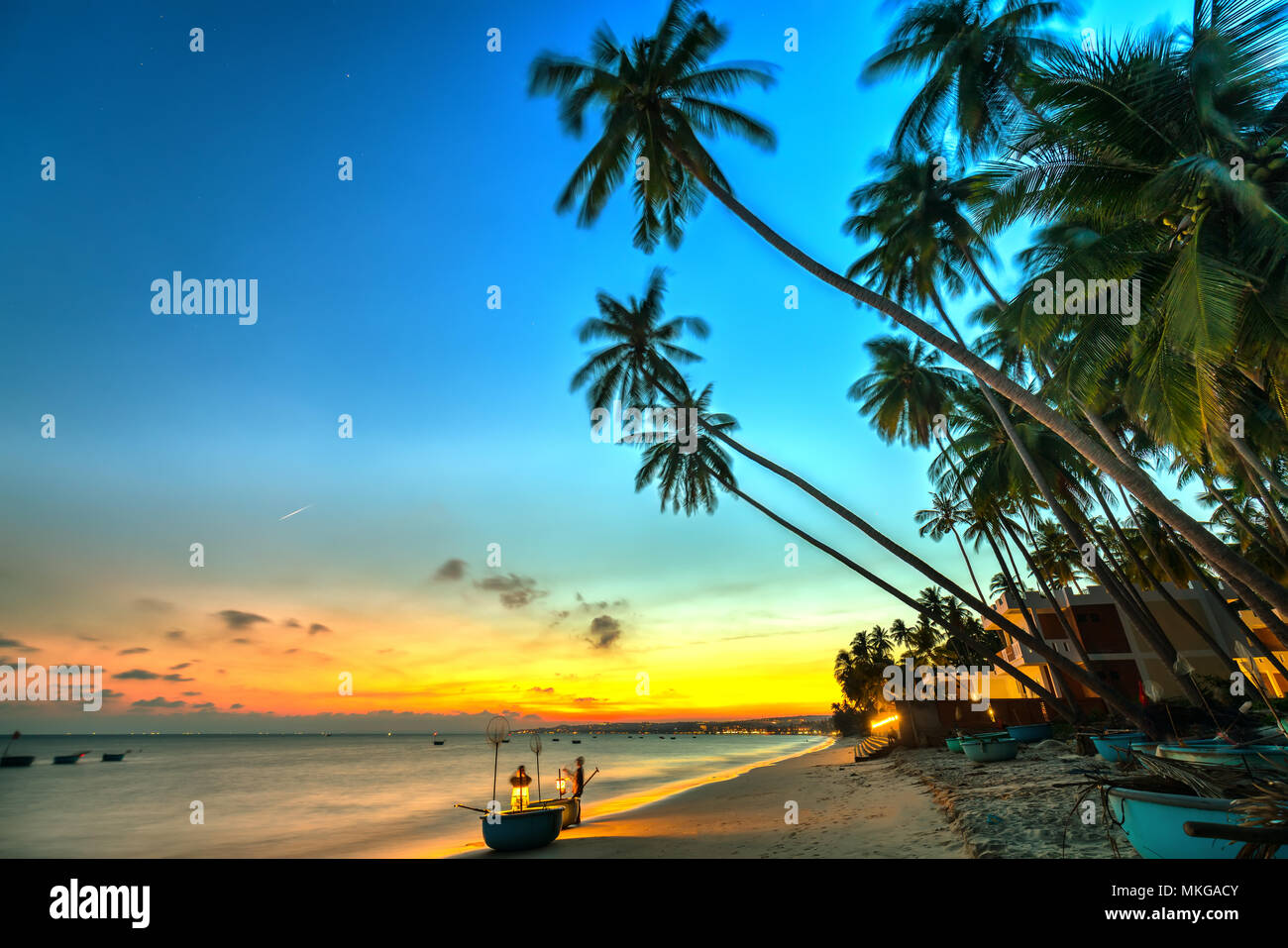 Coucher Du Soleil Sur La Plage Avec Cocotiers Inclinés De