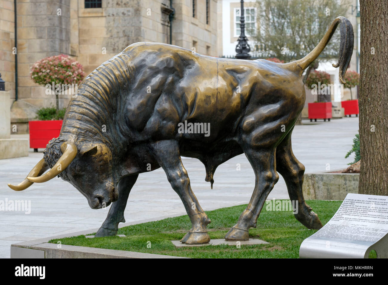 Statue en bronze d'un taureau utilisé pendant la Vaca das Cordas festivités traditionnelles à Ponte de Lima, région du Minho du Portugal, Europe Banque D'Images