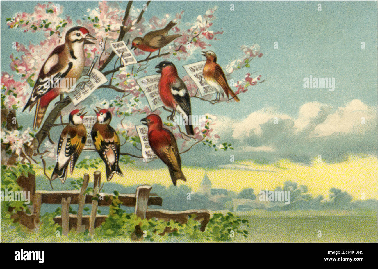 Chant des oiseaux et la musique Banque D'Images