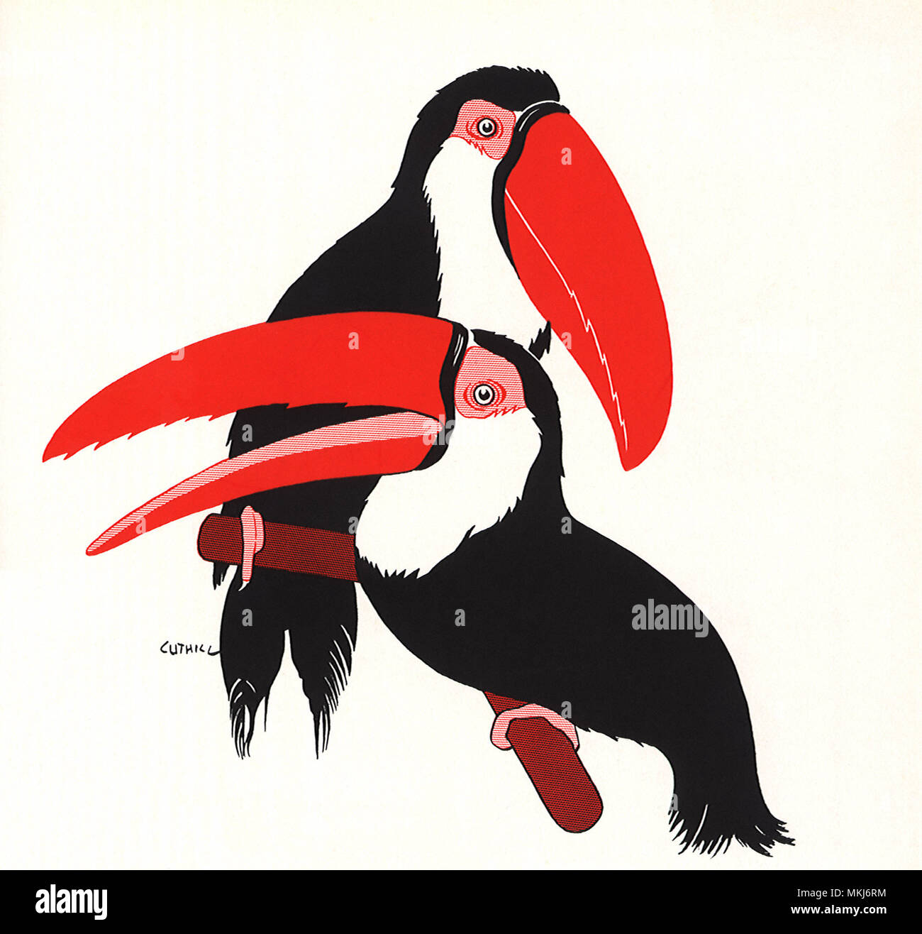 Les Toucans Banque D'Images