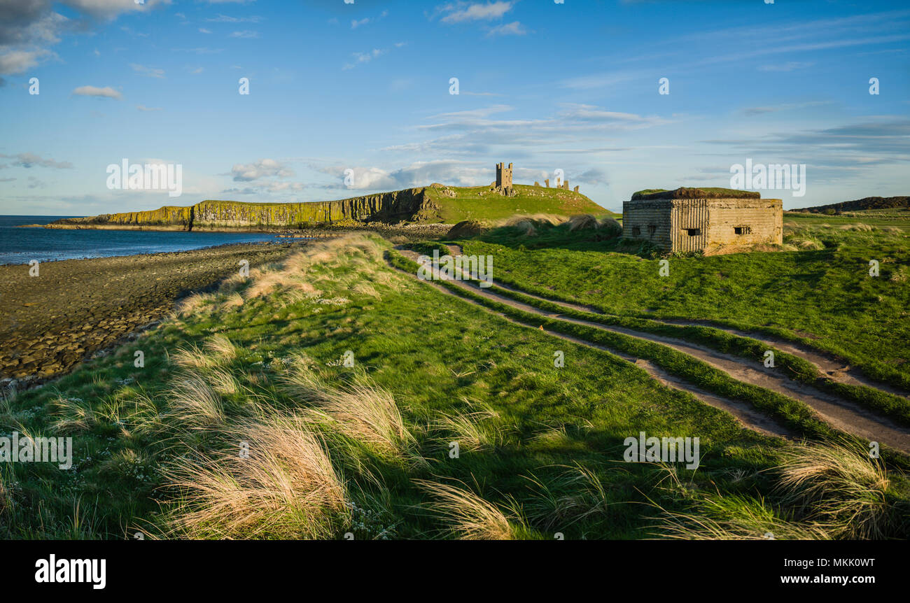 La seconde guerre mondiale, les défenses côtières, Dunstanburgh Northumberland, Royaume-Uni. Banque D'Images