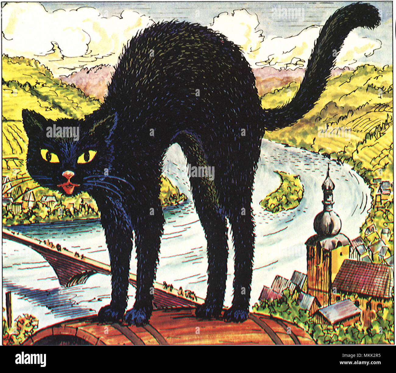 Chat noir Banque D'Images