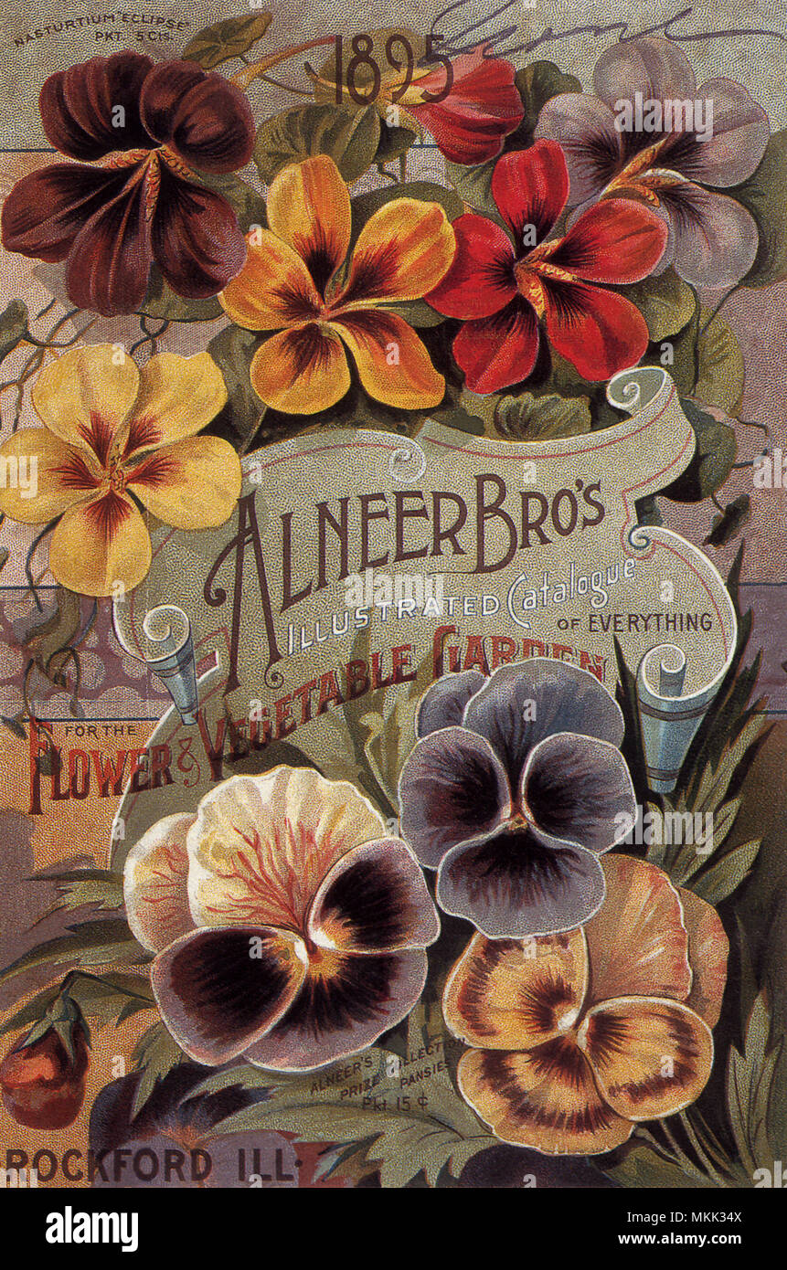 Pensées Banque D'Images