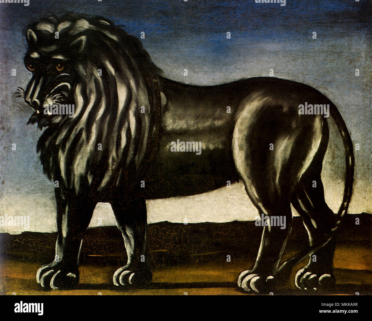 Lion Noir Banque D'Images