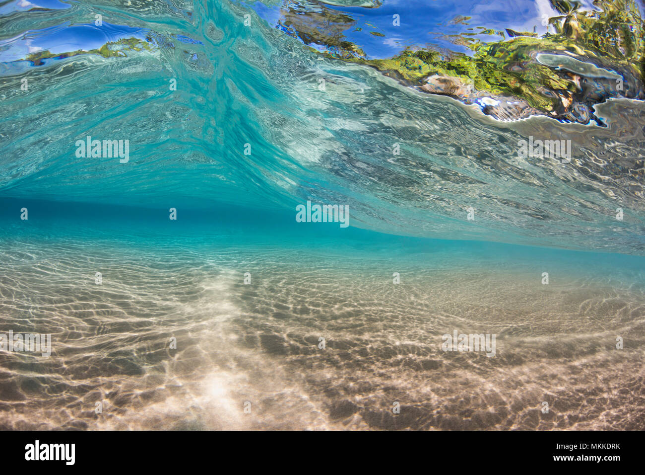 Le feuillage du littoral peut être vu à travers une petite vague comme elle passe sur un fond de sable peu profondes au large de l'île de Maui, Hawaii. Banque D'Images