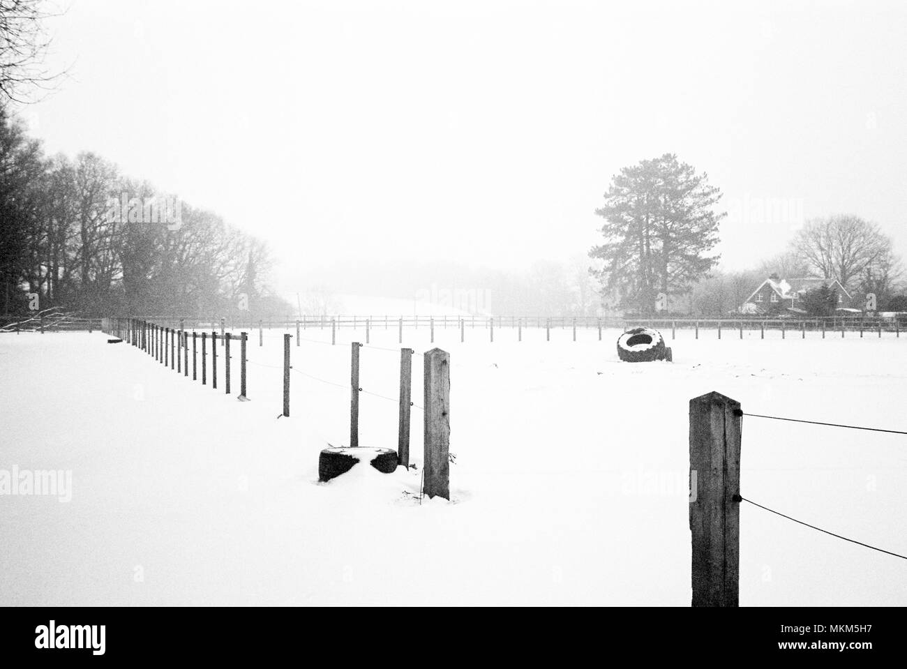 Champs couverts de neige, Medstead, Hampshire, Angleterre, Royaume-Uni. Banque D'Images
