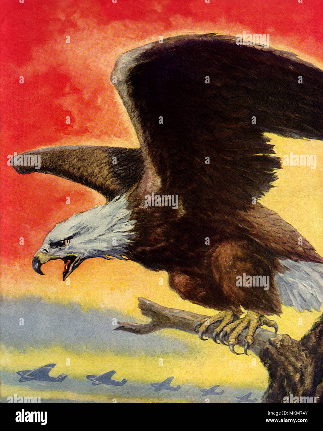 Eagle et avions féroce Banque D'Images