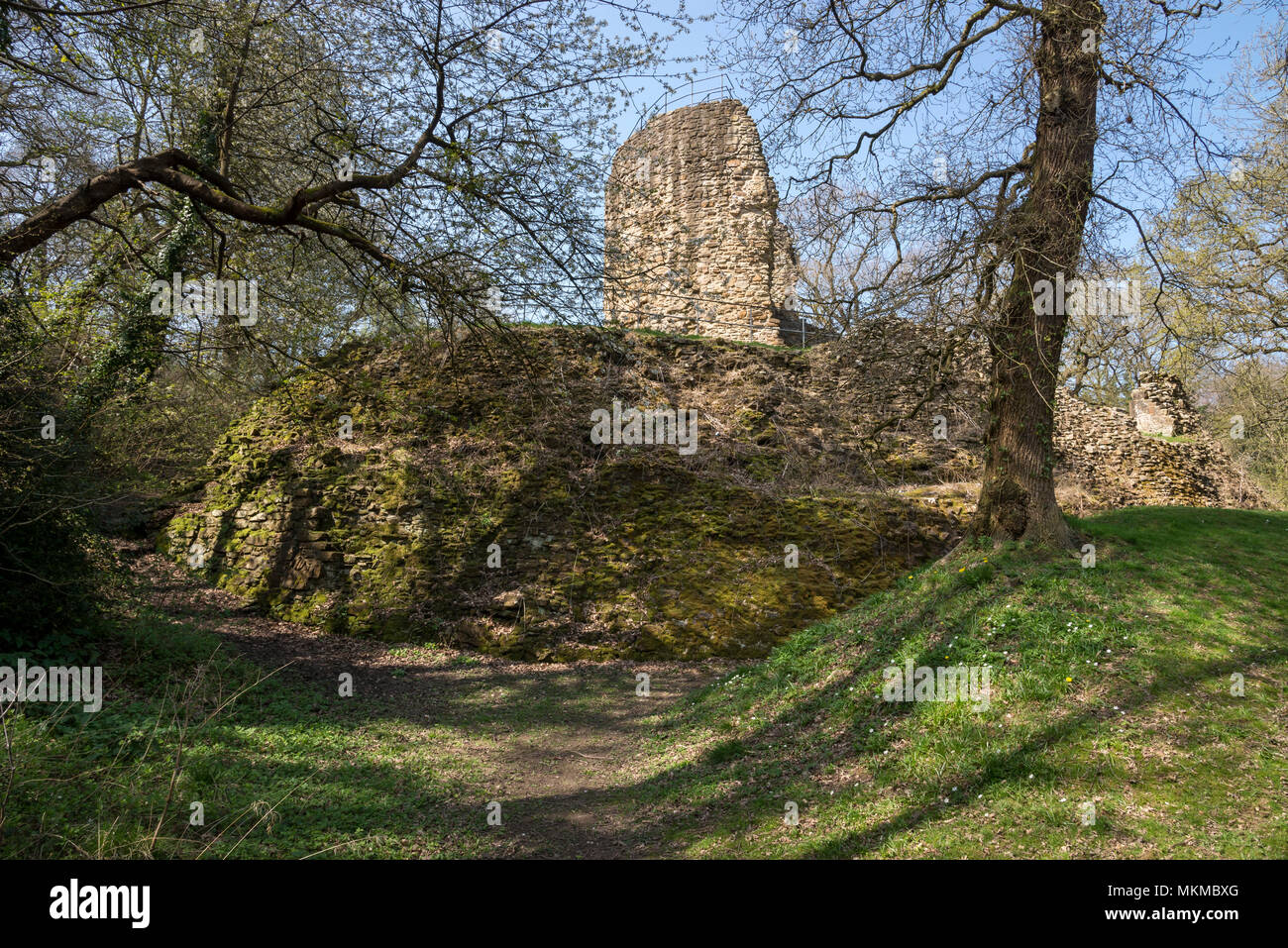 Ruines du château de Ewloe dans le Nord du Pays de Galles. 13e siècle château gallois indigènes caché dans un bois près du village de Ewloe. Partie d'Wepre country park. Banque D'Images