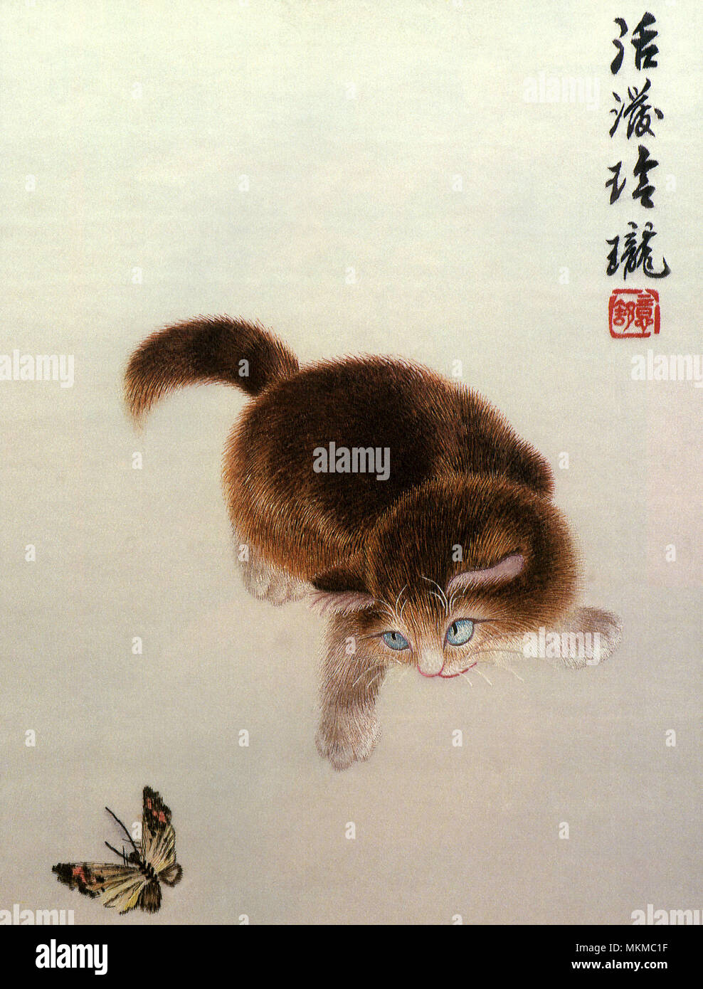 Chaton et Papillon Banque D'Images