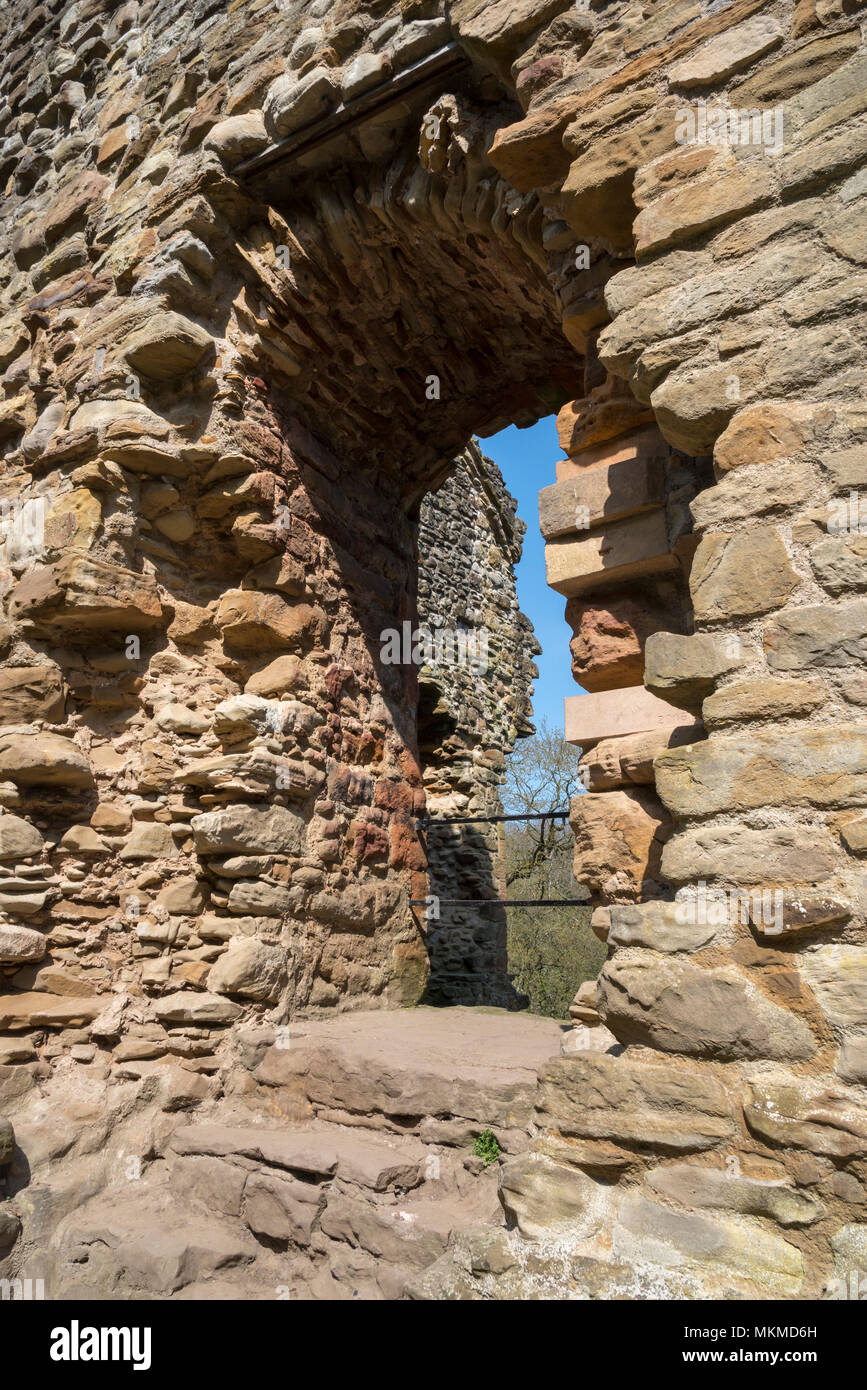 Ruines du château de Ewloe dans le Nord du Pays de Galles. 13e siècle château gallois indigènes caché dans un bois près du village de Ewloe. Partie d'Wepre country park. Banque D'Images