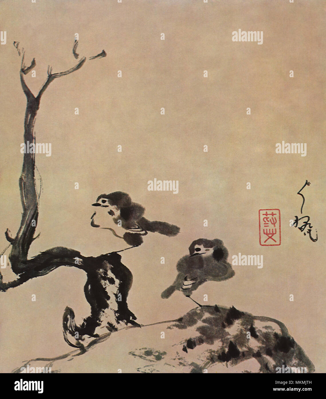 Les petits oiseaux gris Banque D'Images