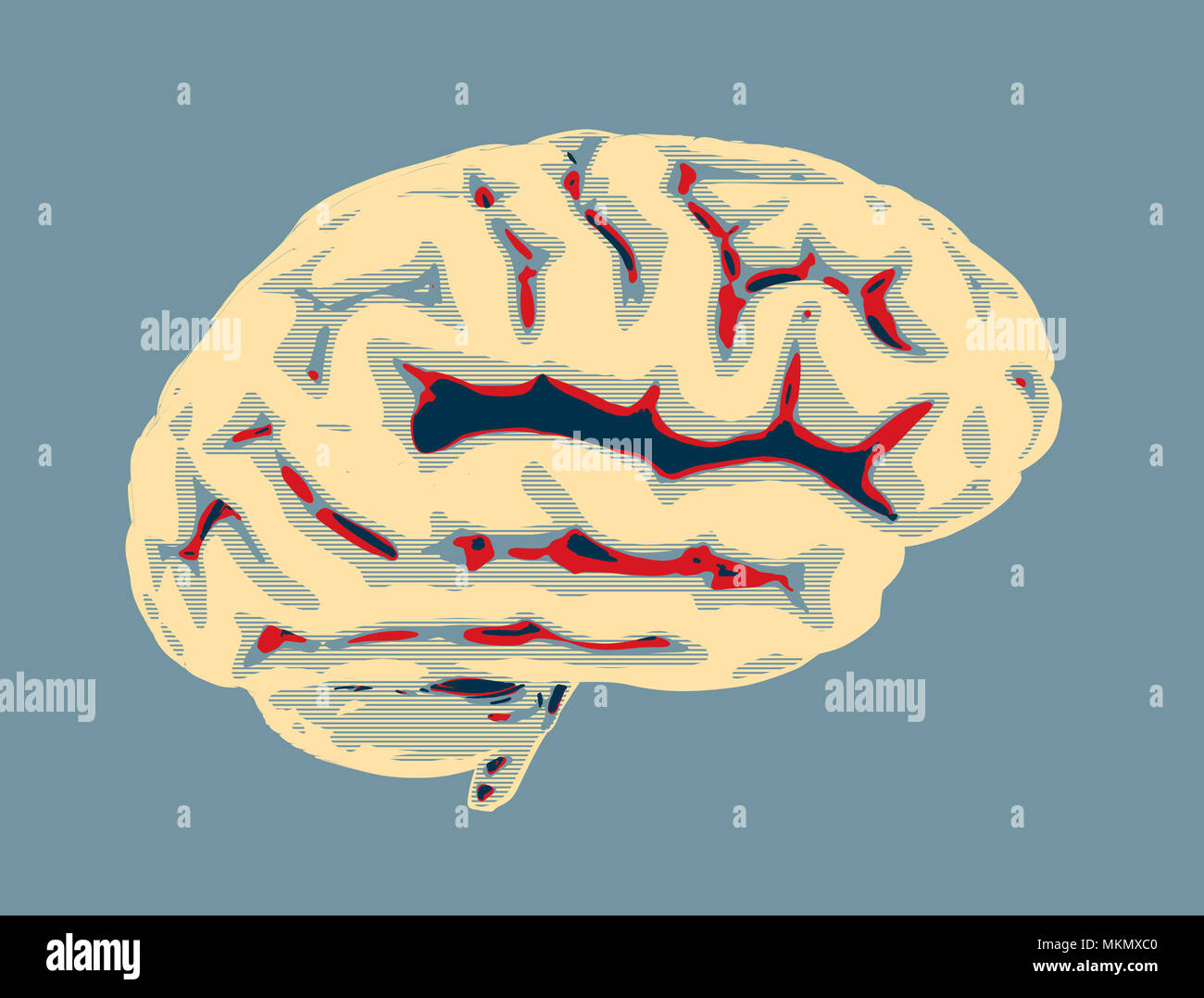 Illustration du cerveau humain Banque D'Images