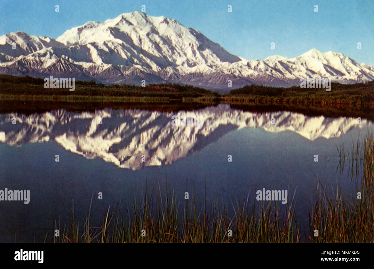 Mt. McKinley reflétée Banque D'Images