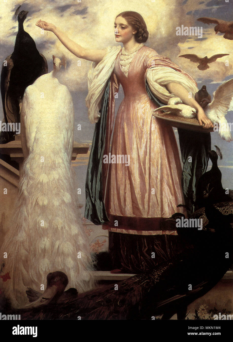 Paons paons Banque de photographies et d’images à haute résolution - Alamy