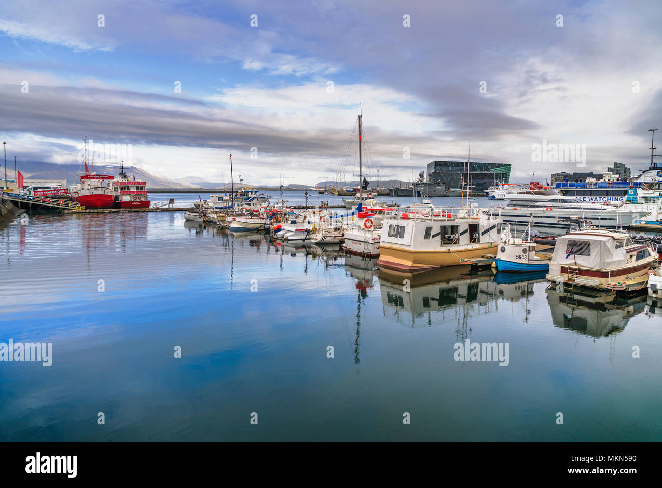 Port de Reykjavik, Reykjavik, Islande Banque D'Images