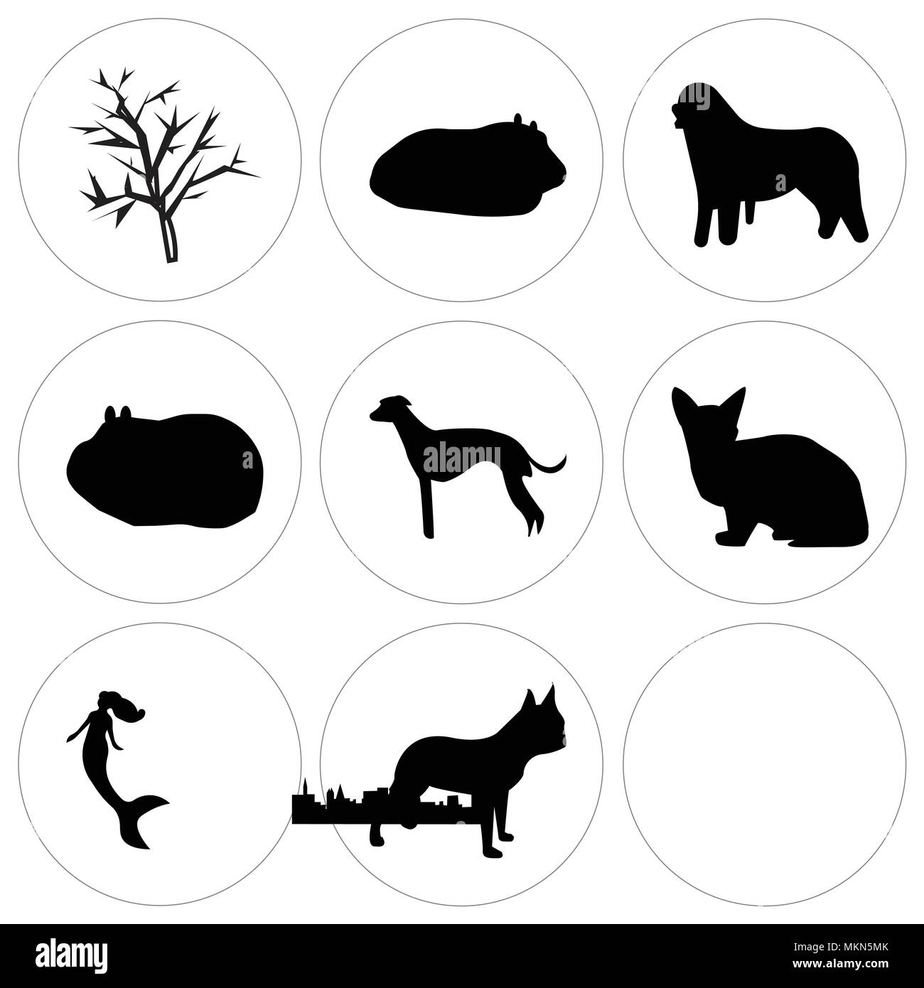 Ensemble de 9 icônes modifiable simple tels que Boston terrier, sirène, chat sphynx, whippet, buffalo sky, cobaye, bernese mountain dog, mesquite tree, peut Illustration de Vecteur