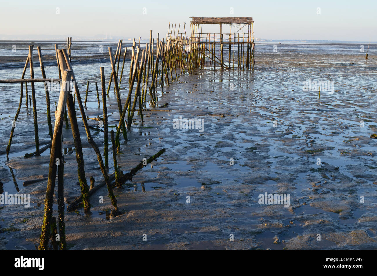 Marée basse à l'palaphitic port de pêche artisanale de Carrasqueira, estuaire de la rivière Sado, Portugal Banque D'Images