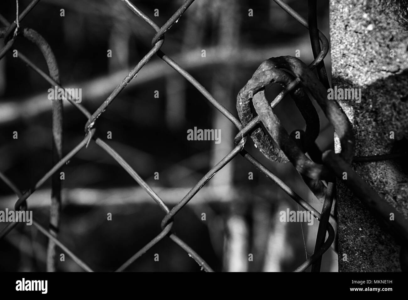 La chaîne sur le net d'acier protéger contre tout accès non autorisé. Banque D'Images