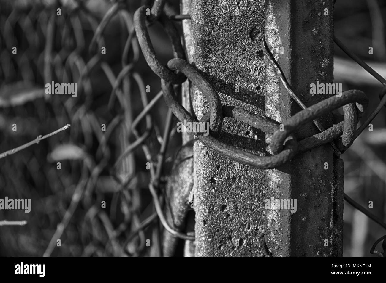 La chaîne sur le net d'acier protéger contre tout accès non autorisé. Banque D'Images