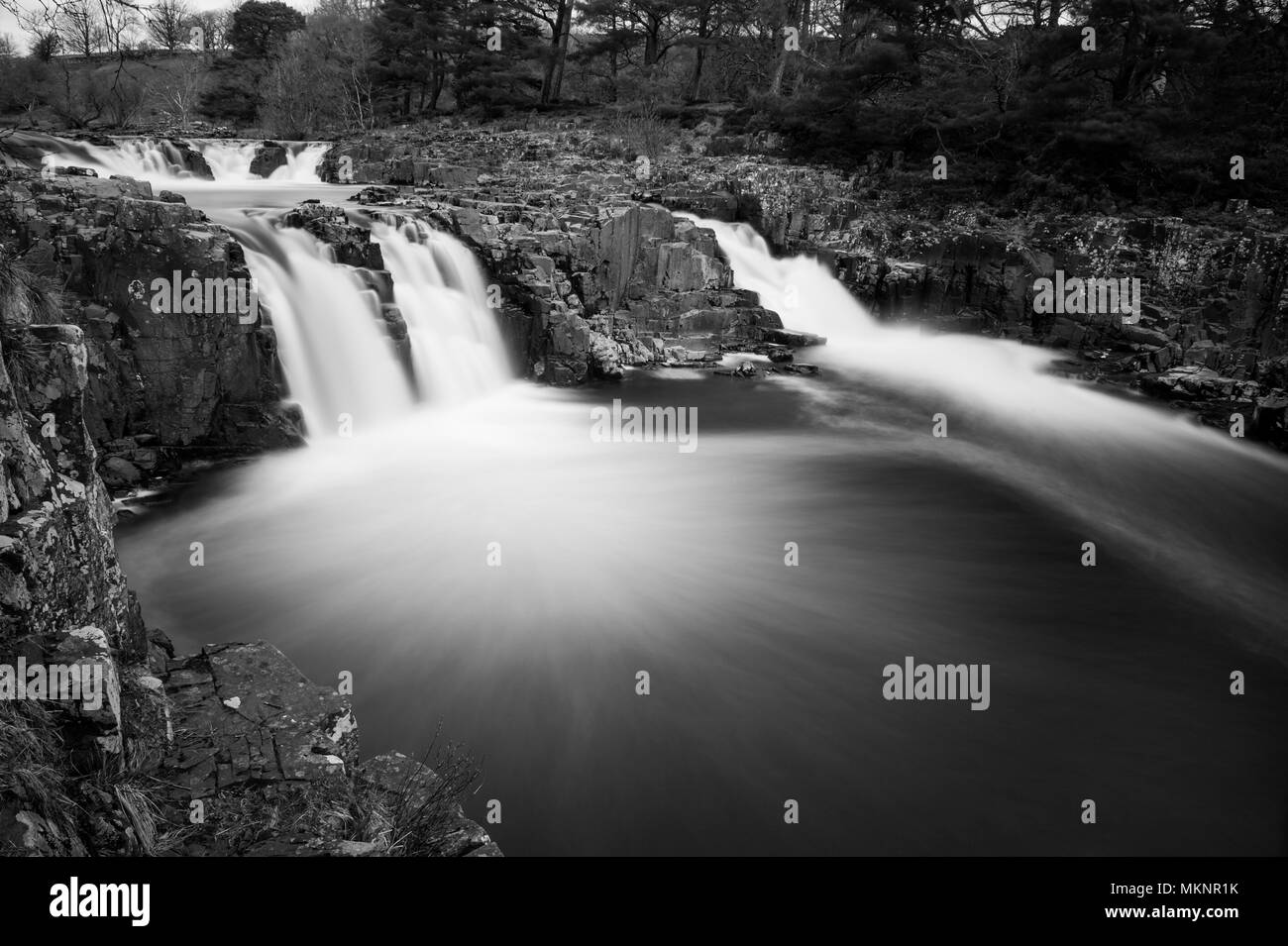 Chutes d'eau de Low Force à Teesdale, North Pennines AONB (zone de beauté naturelle exceptionnelle), près du centre d'accueil de Bowles. Banque D'Images