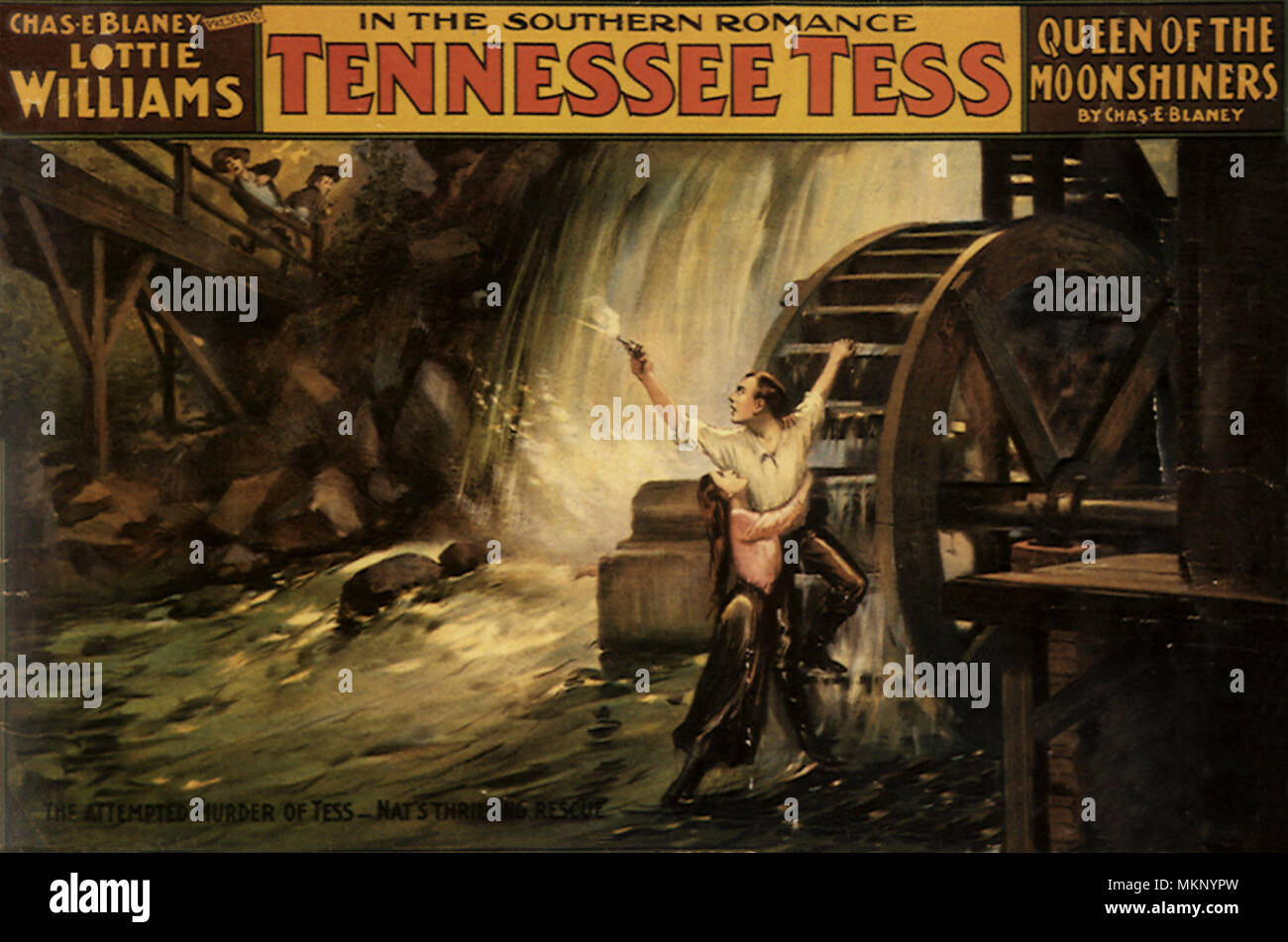Virginia Tess Banque D'Images