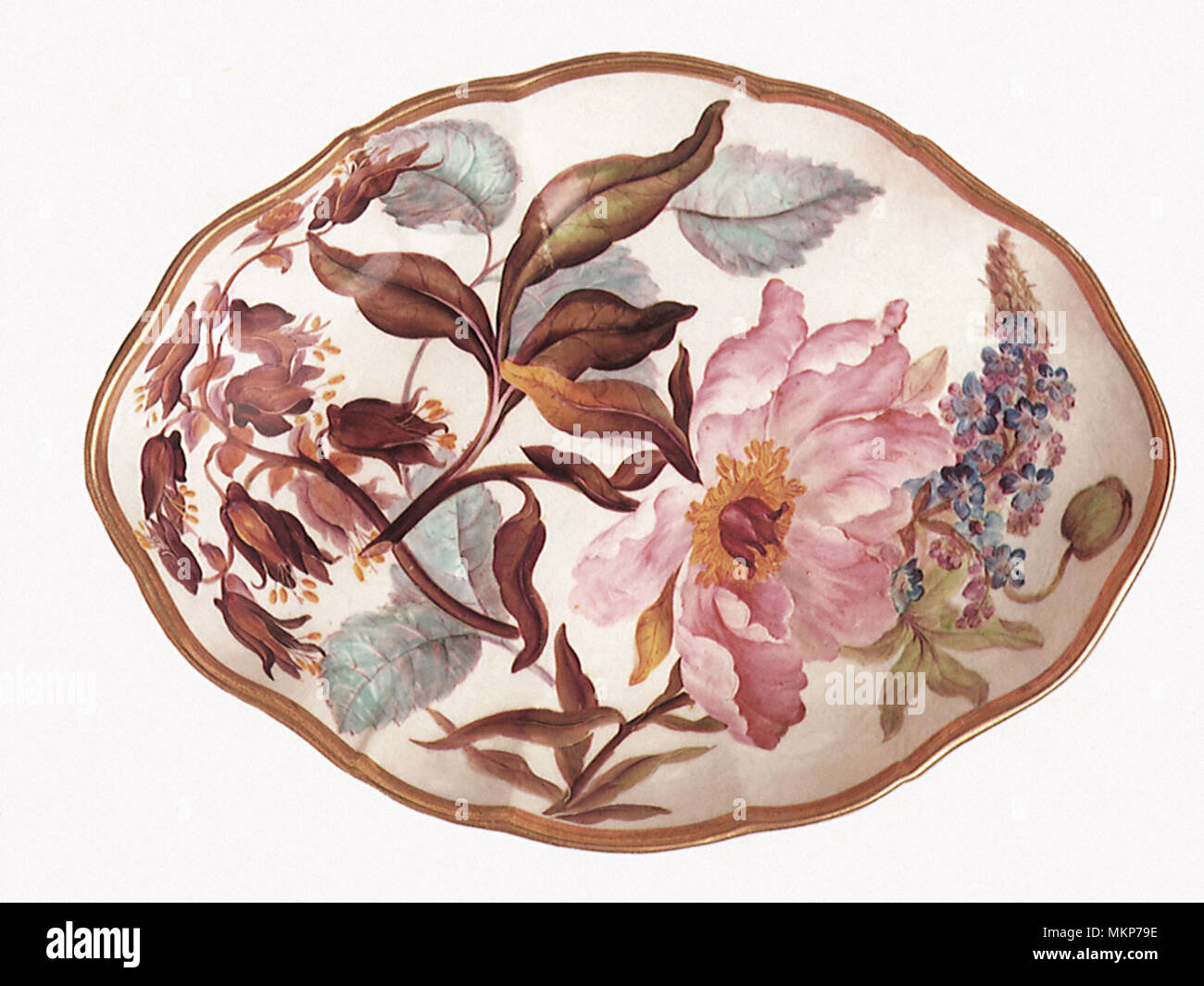 Plat avec des fleurs du désert Banque D'Images