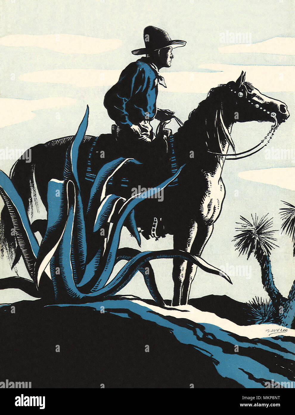 Cowboy à cheval Banque D'Images