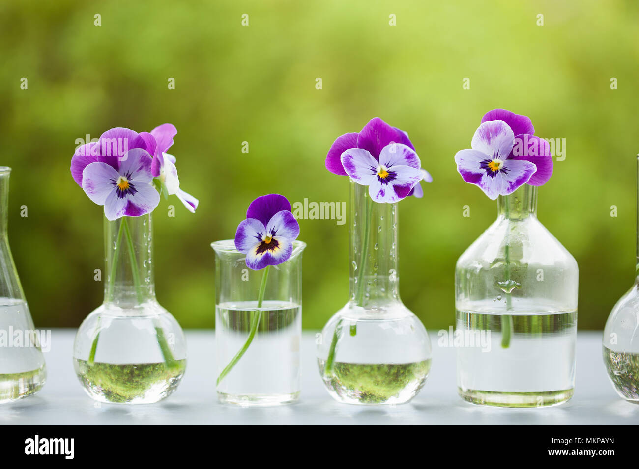 Fleur sur la verrerie en chimie, décoration de table de jardin Banque D'Images