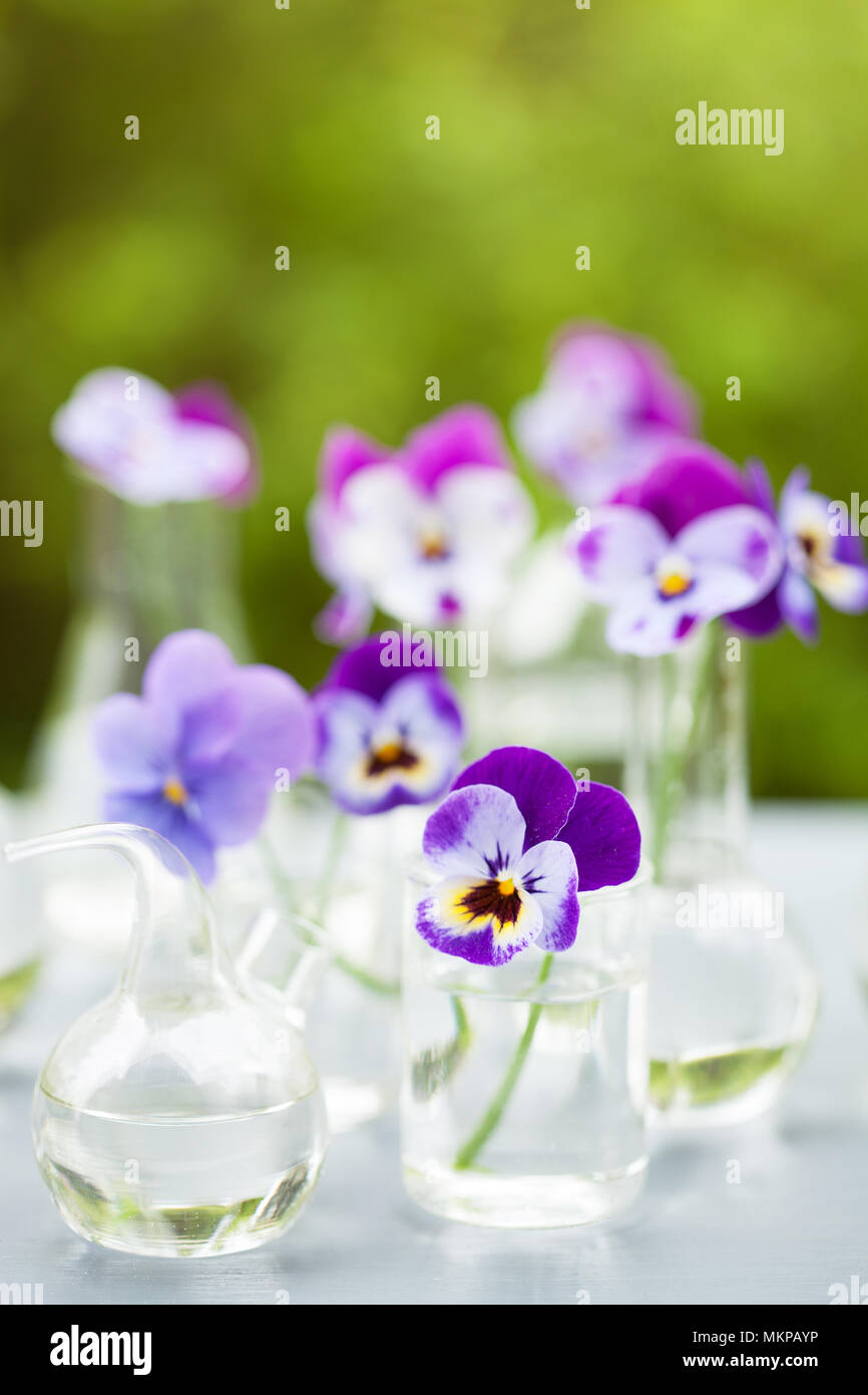 Fleur sur la verrerie en chimie, décoration de table de jardin Banque D'Images