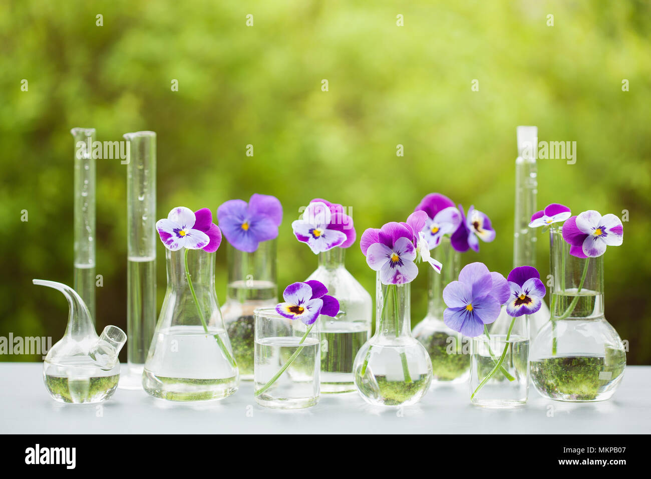 Fleur sur la verrerie en chimie, décoration de table de jardin Banque D'Images