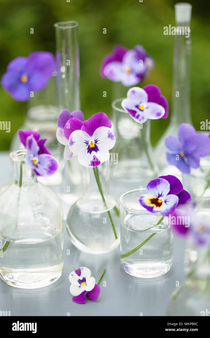 Fleur sur la verrerie en chimie, décoration de table de jardin Banque D'Images