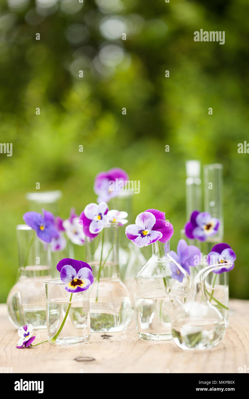 Fleur sur la verrerie en chimie, décoration de table de jardin Banque D'Images