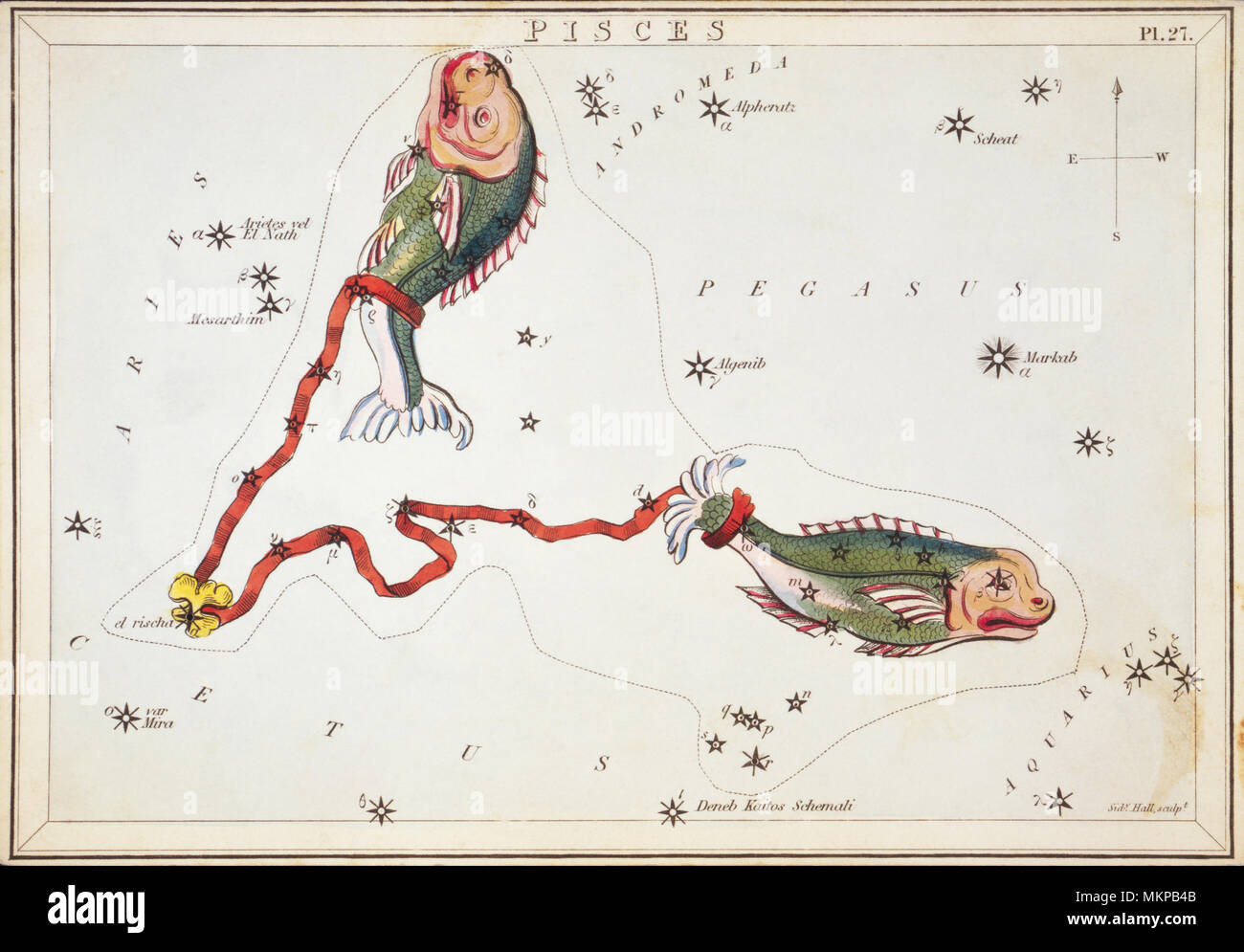 Le poissons. Numéro de carte à partir de 27 Hotel Kashyap, miroir ou d'une vue sur le ciel, l'un d'un jeu de 32 cartes carte des étoiles astronomique gravée par Sidney Hall et publshed 1824. Banque D'Images