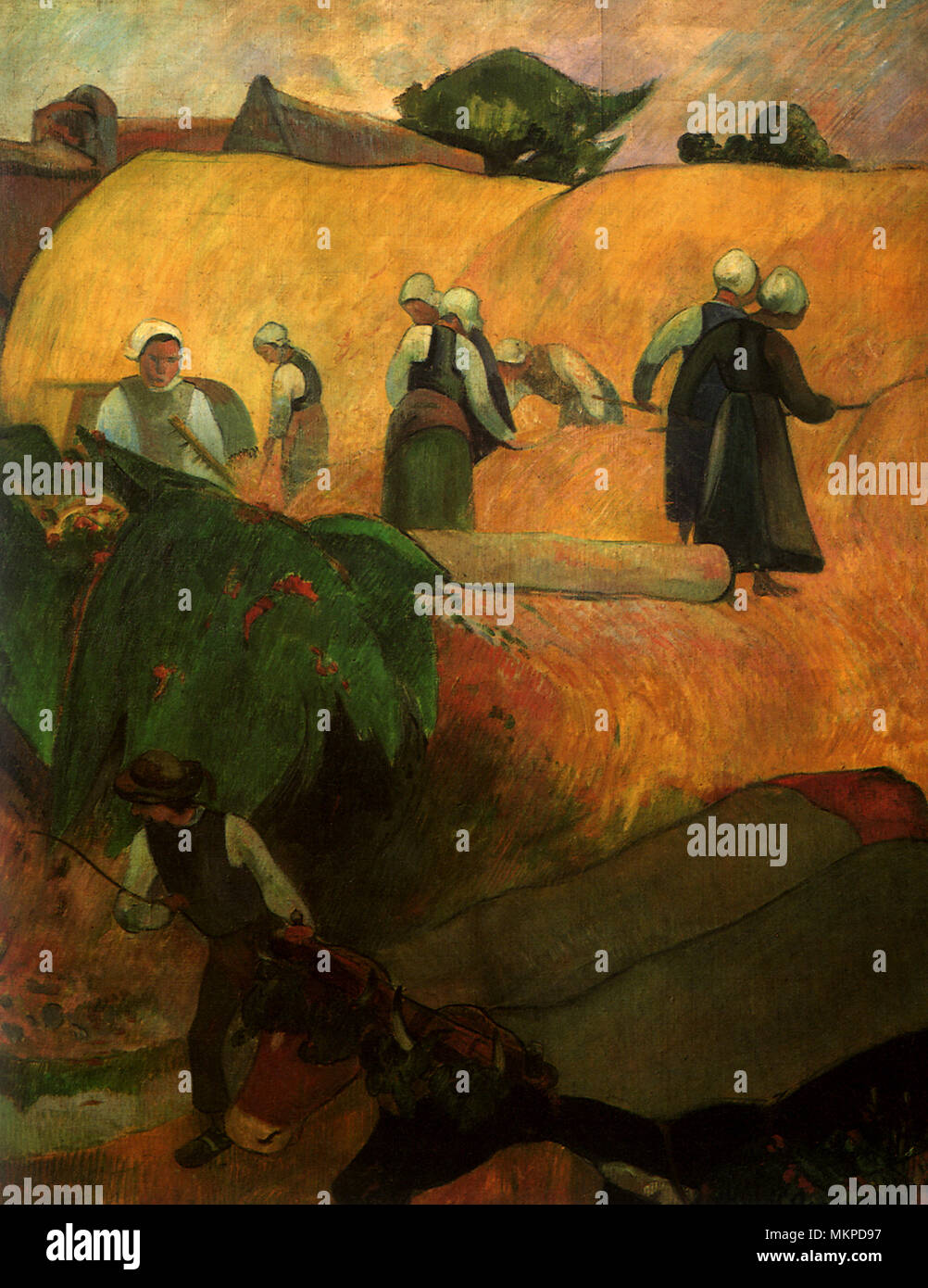 La fenaison en Bretagne Banque D'Images