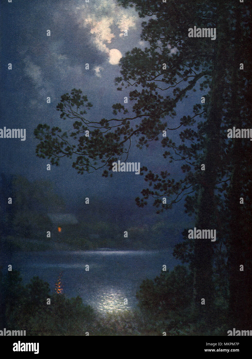 Nuit argenté Banque D'Images