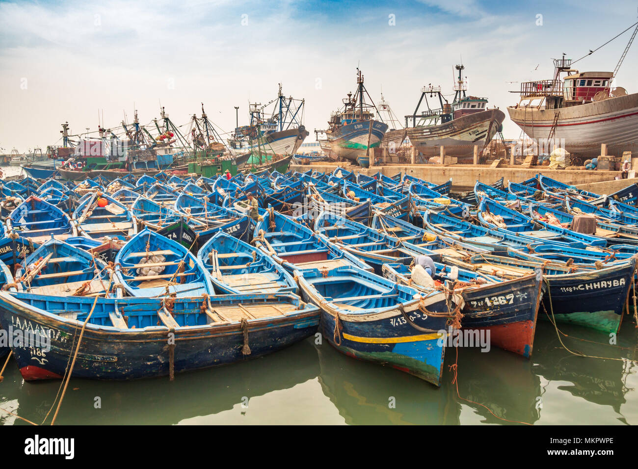 Flotte de bateaux de pêche bleu essaouira maroc Banque D'Images