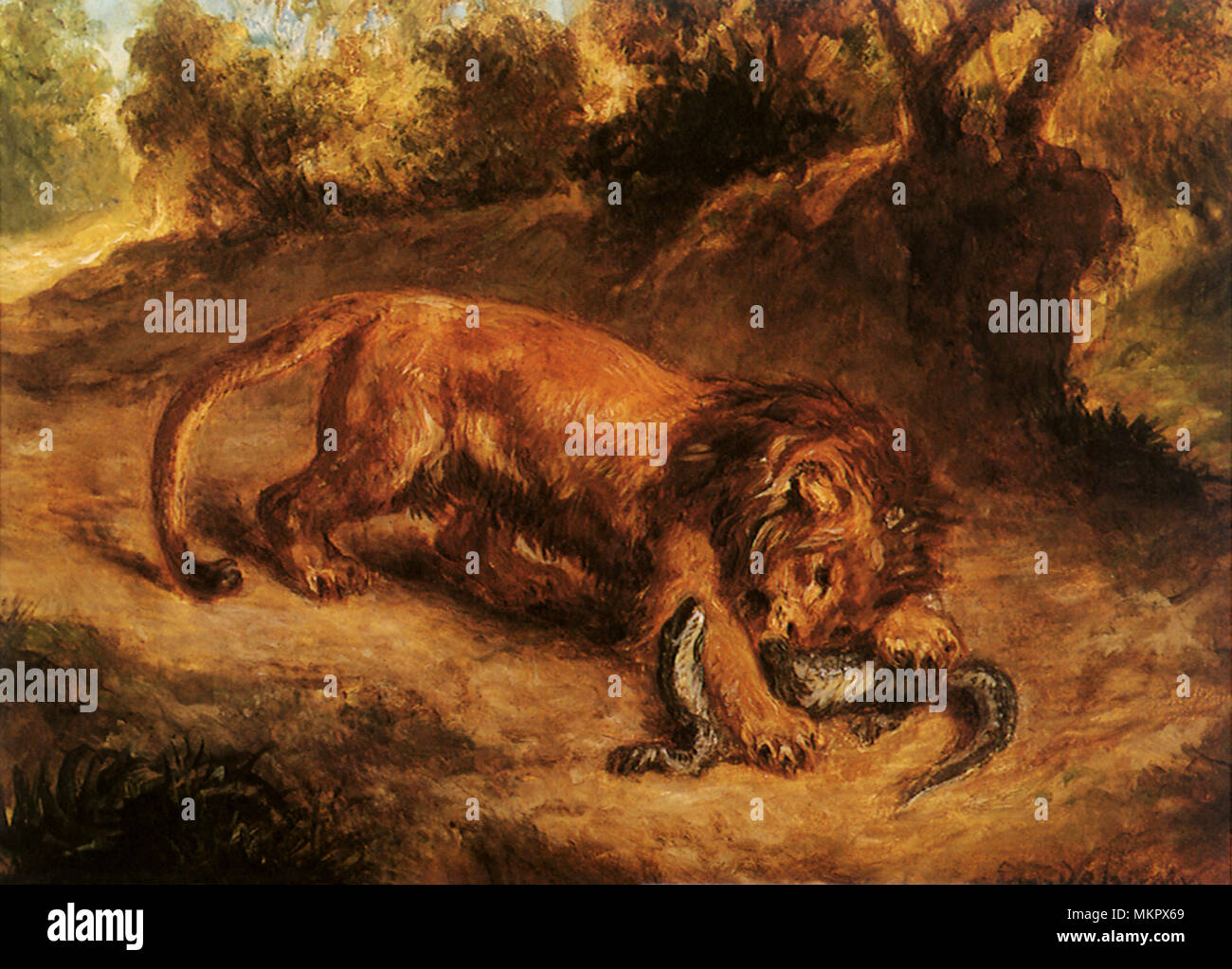 Lion et d'un lézard Banque D'Images