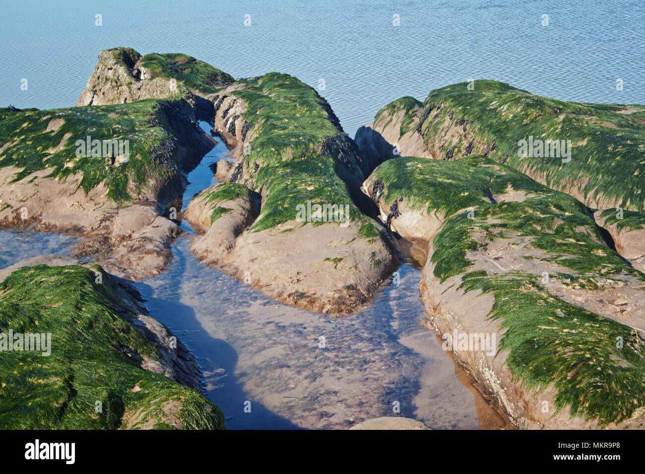 De nouveaux modèles de Brighton Beach Banque D'Images