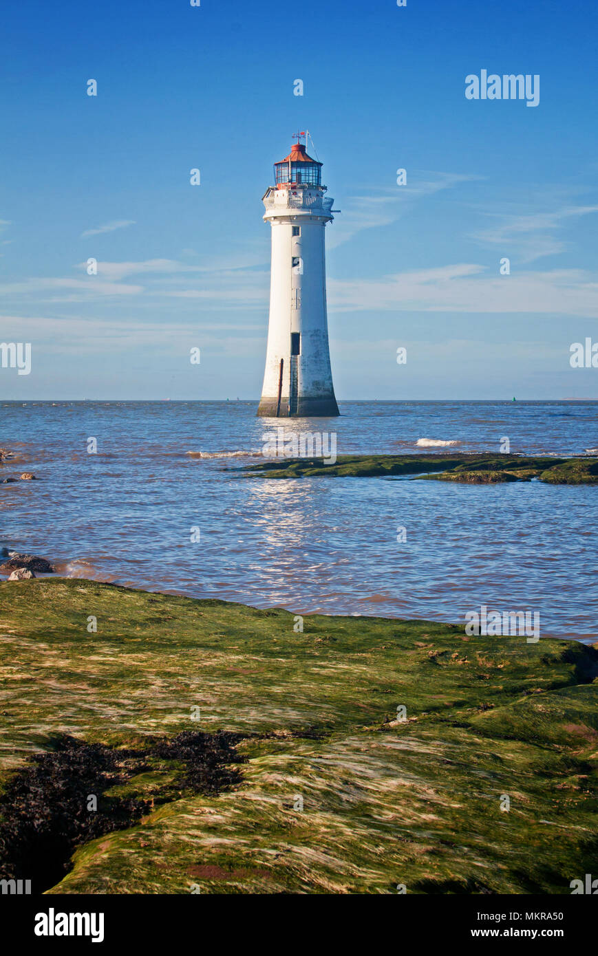 Rock Perch phare en portrait, avec les algues vertes couvertes de roches dans l'avant-plan Banque D'Images