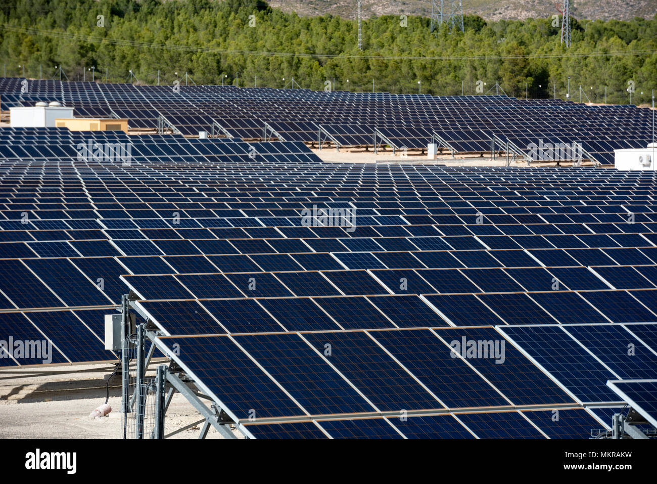 Gros plan d'une rangée de panneaux solaires dans un champ ouvert avec de multiples panneaux d'énergie solaire, Calasparra, Murcia, Espagne Banque D'Images