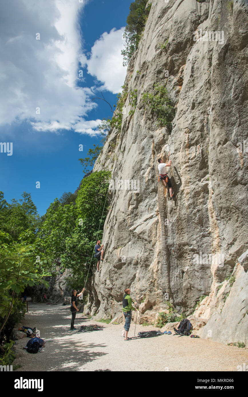 L'Europe, European, l'Europe de l'Est ; Europe du sud-est des Balkans ; ; Croatie ; Paklencia, Karst, Parc National, Banque D'Images